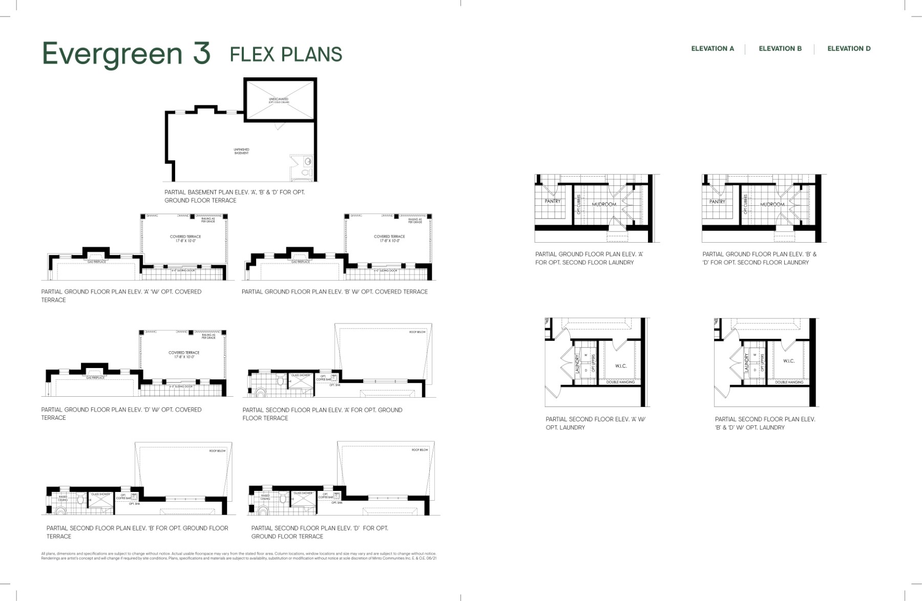 Evergreen-3-Flex-2-of-2